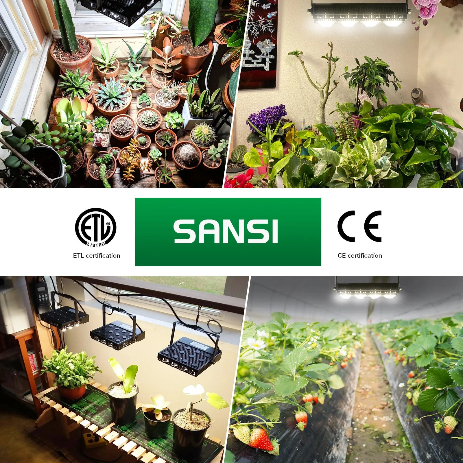 70W LED Grow Light (US, CA ONLY)