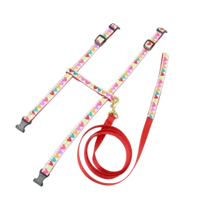 Cat Harness & Leash | Pop Hearts