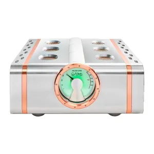Dan D'Agostino Relentless 800 Monoblock Amplifier (pair)