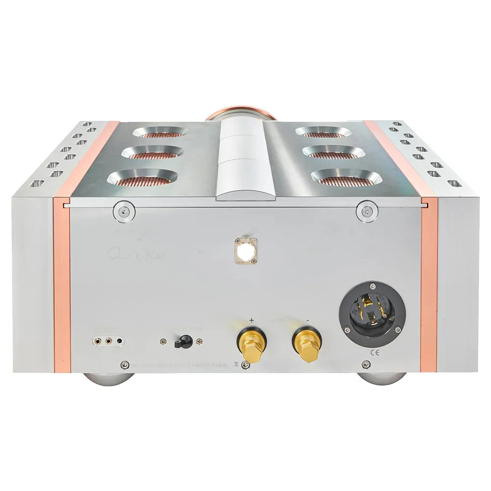 Dan D'Agostino Relentless 800 Monoblock Amplifier (pair)