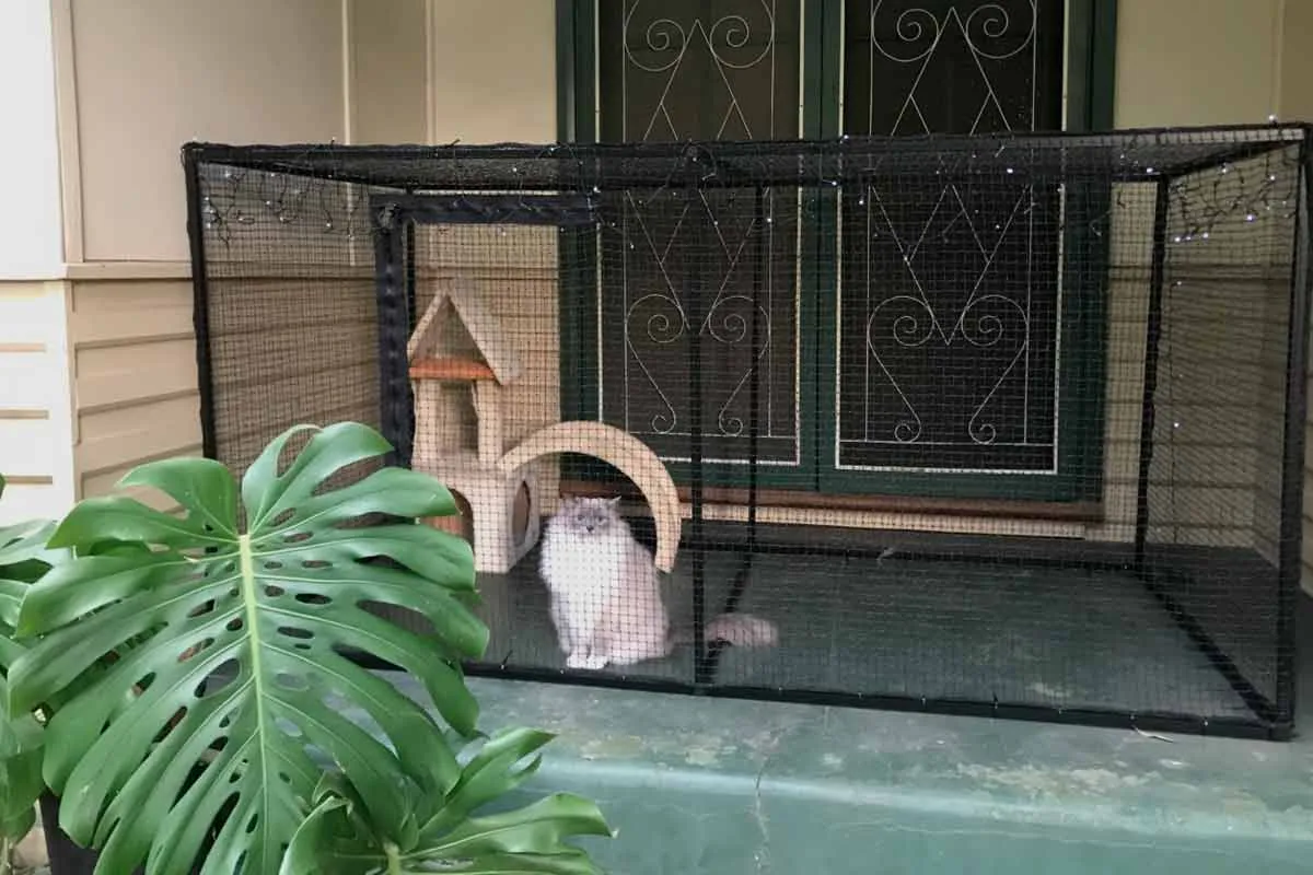 Lite Portable Catio