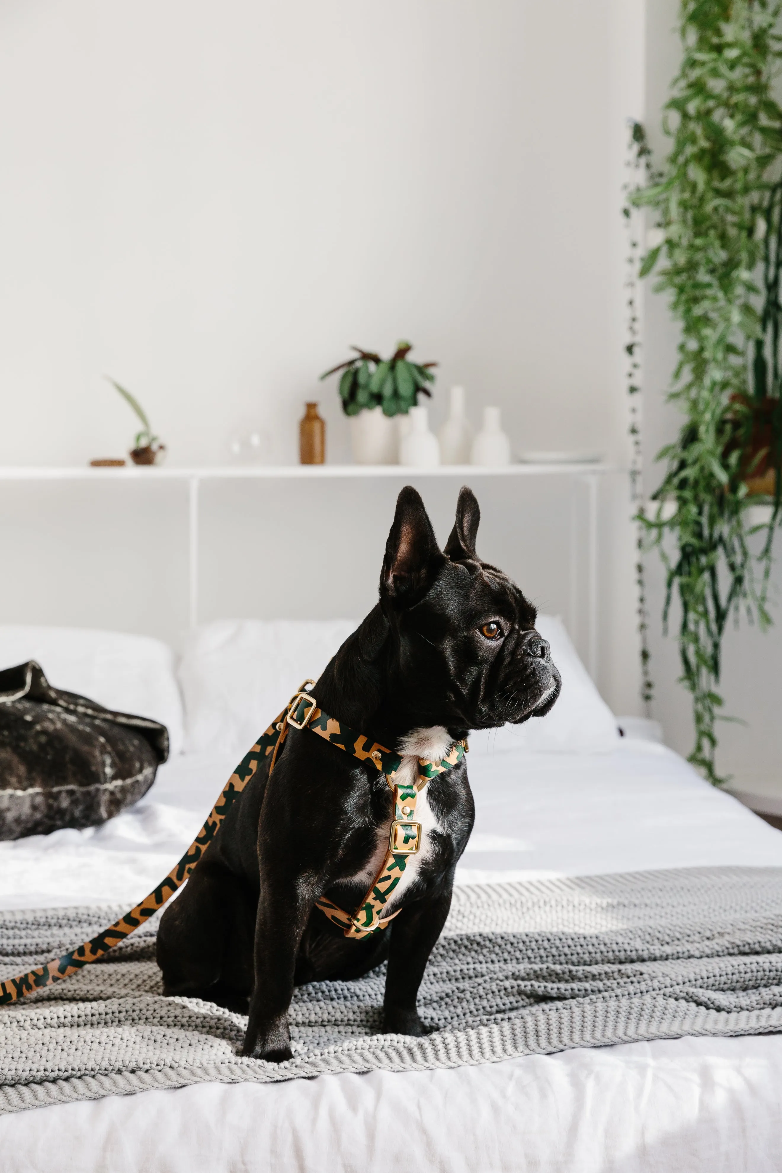 Mark Making Leather Dog Leash