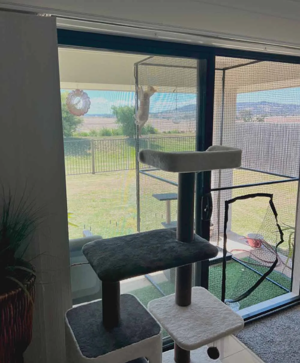 Portable Catio Tower
