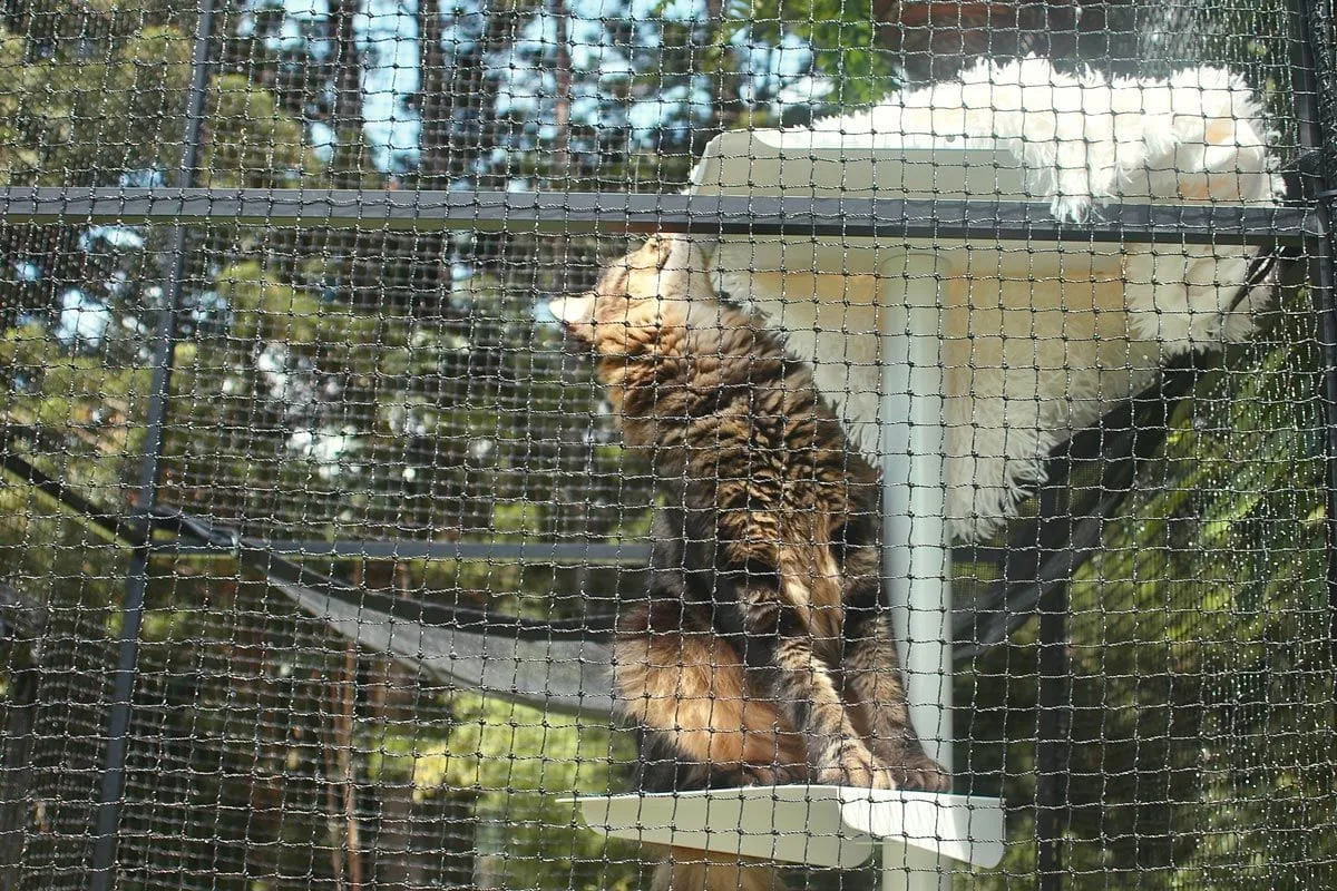 Portable Catio Tower