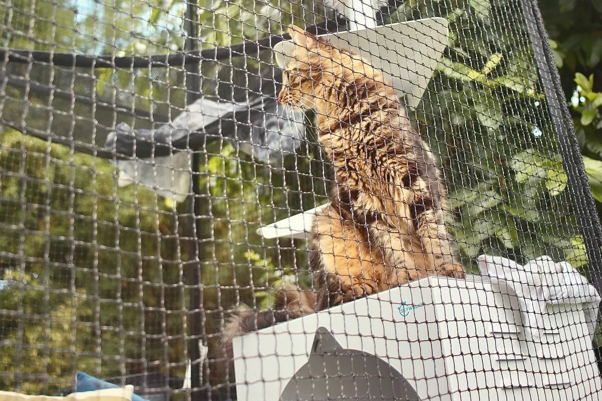 Portable Catio Tower