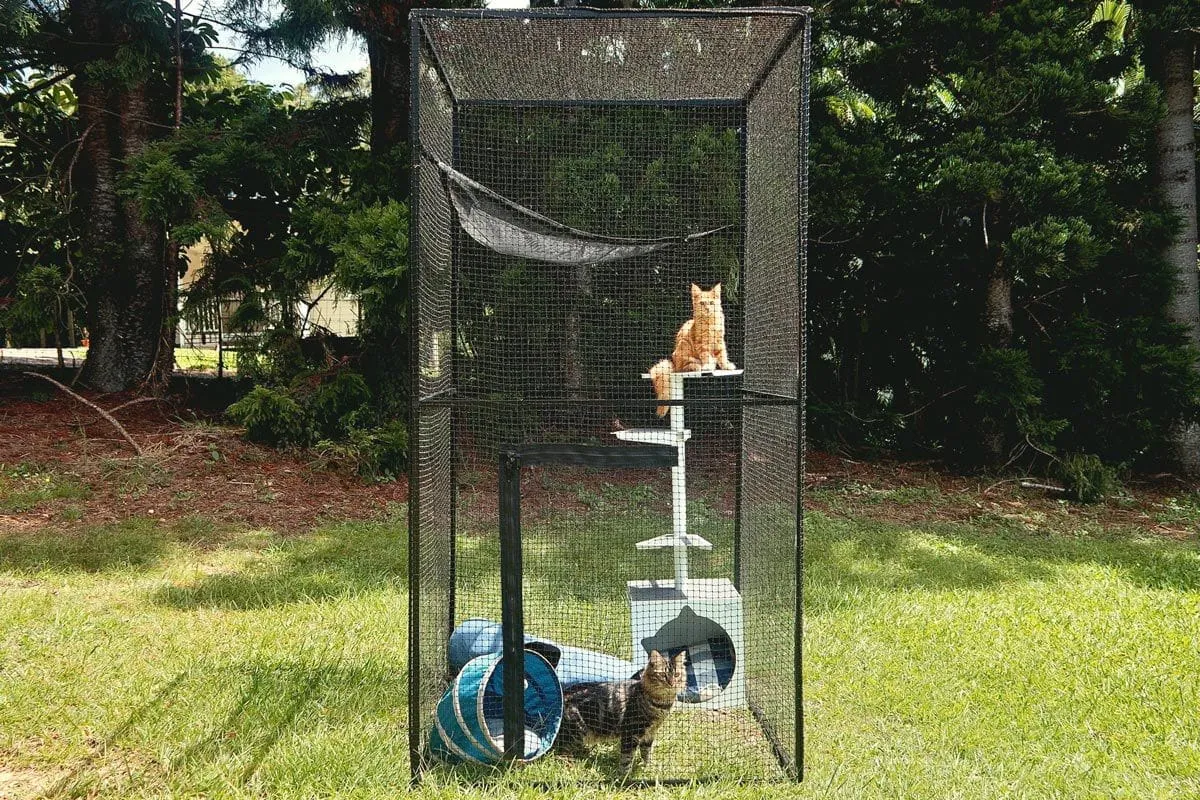 Portable Catio Tower