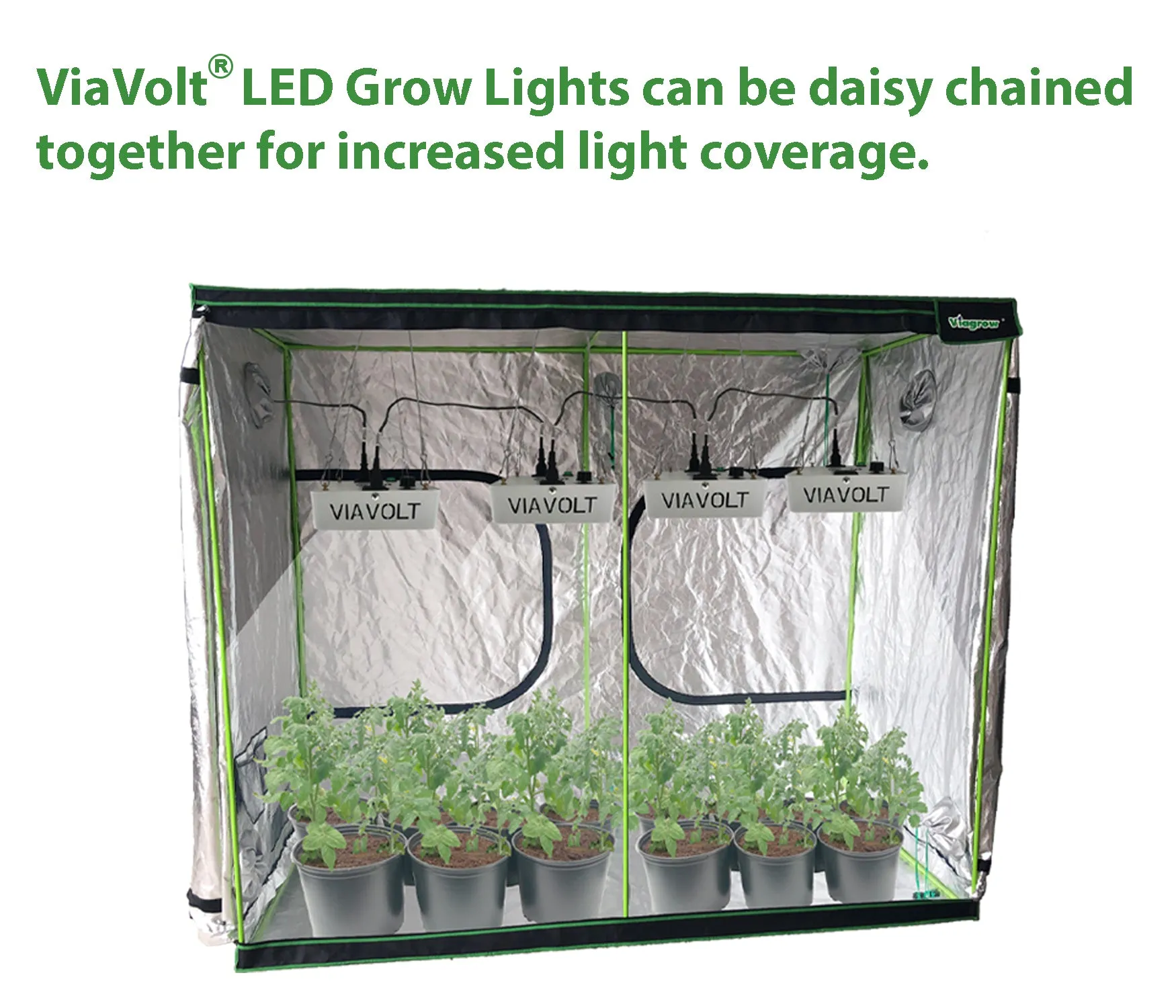 Viavolt 100X LED Grow Light COB with Cree LED Chip and Full Spectrum 6500K / 65w (EA)