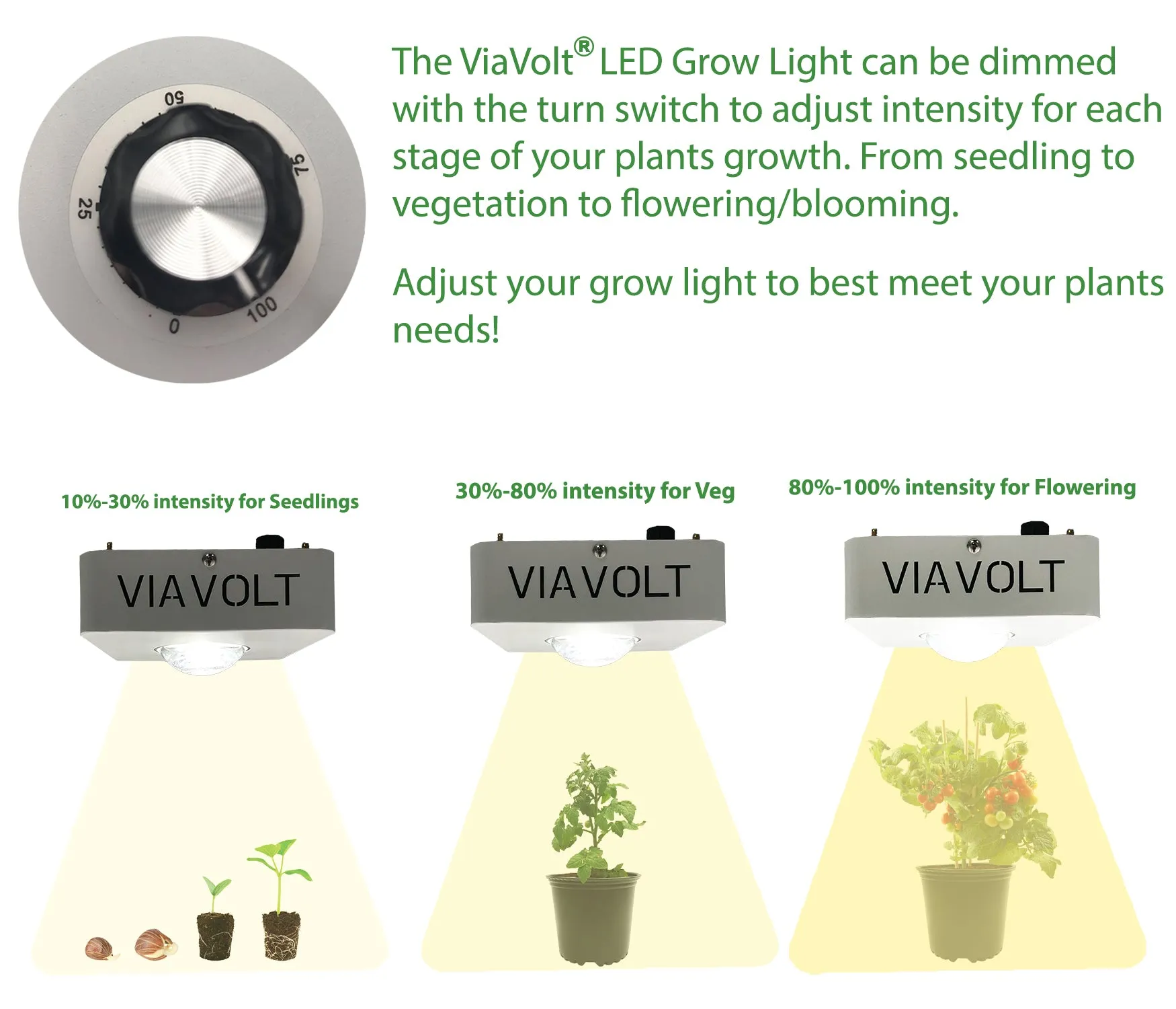 Viavolt 100X LED Grow Light COB with Cree LED Chip and Full Spectrum 6500K / 65w (EA)