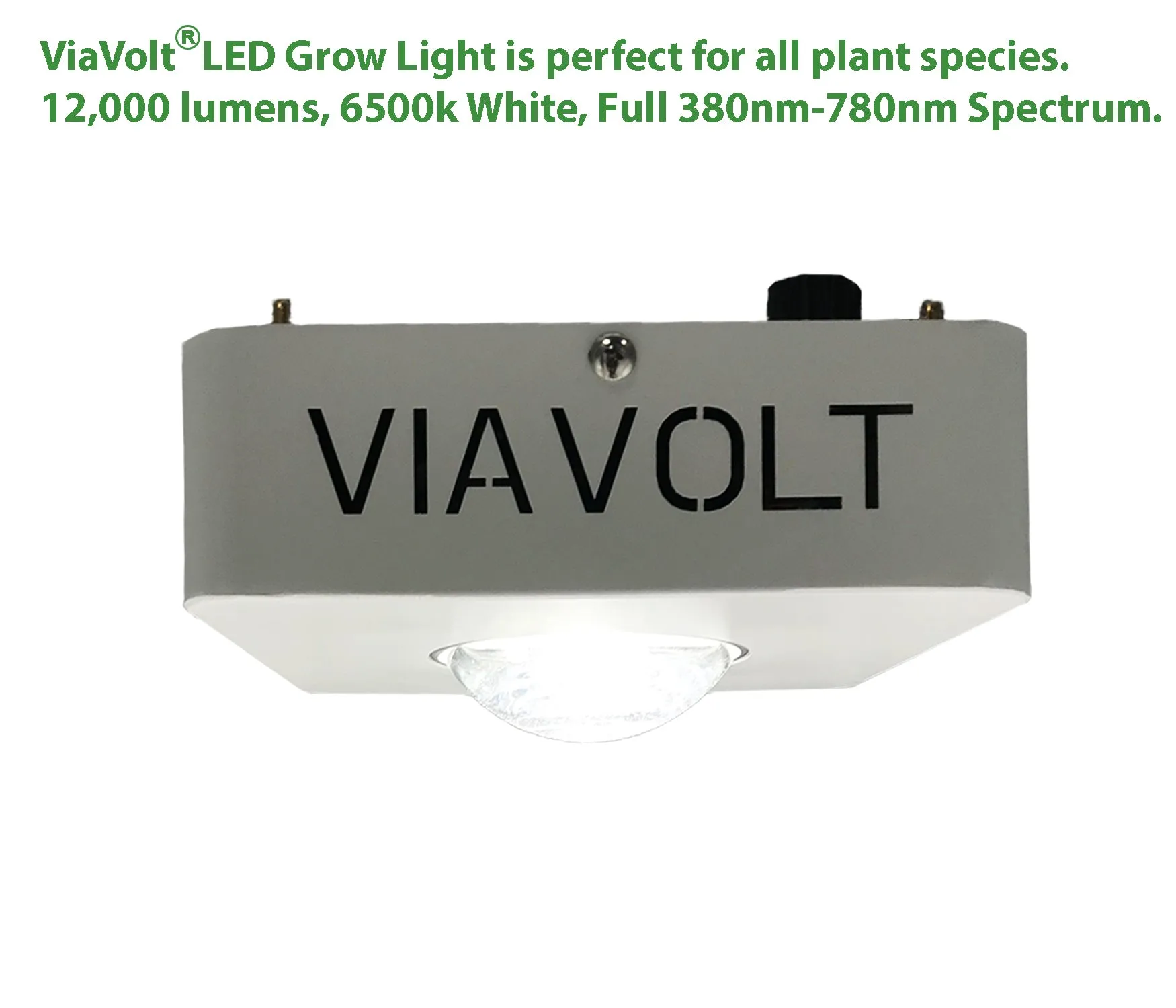 Viavolt 100X LED Grow Light COB with Cree LED Chip and Full Spectrum 6500K / 65w (EA)